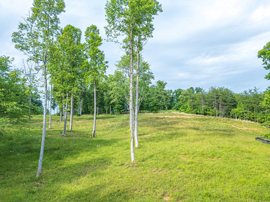 Lot 51 Hidden Harbor #51, BLAIRSVILLE, Georgia image 11