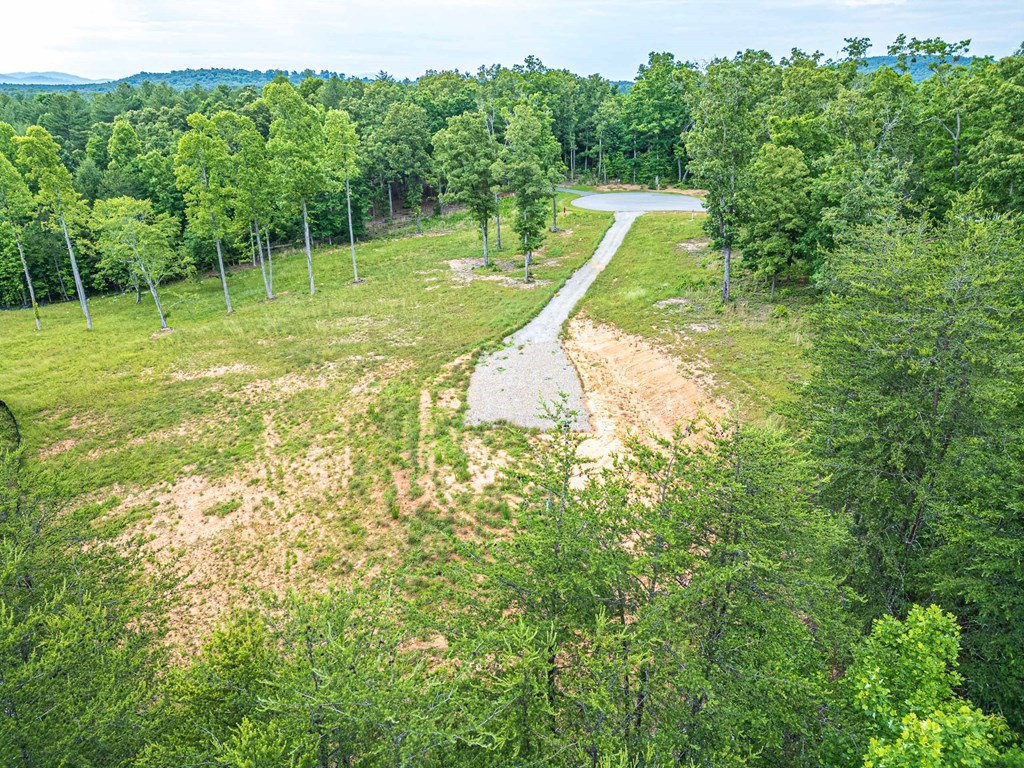 Lot 51 Hidden Harbor #51, BLAIRSVILLE, Georgia image 5