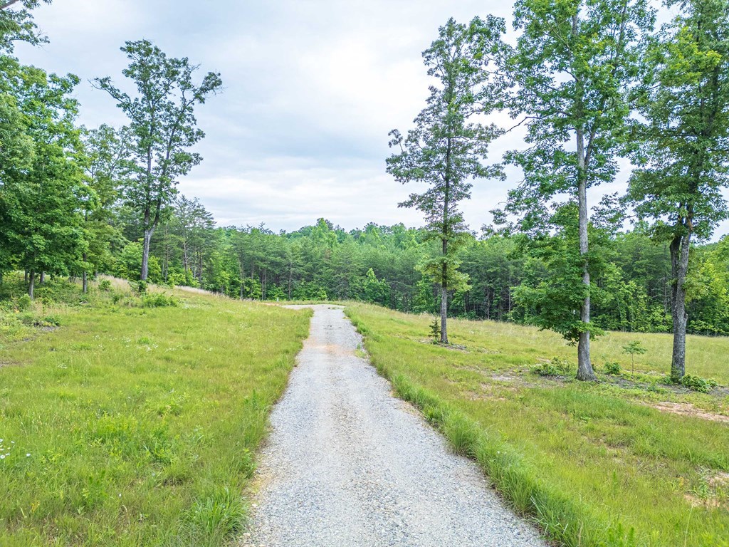 Lot 51 Hidden Harbor #51, BLAIRSVILLE, Georgia image 3