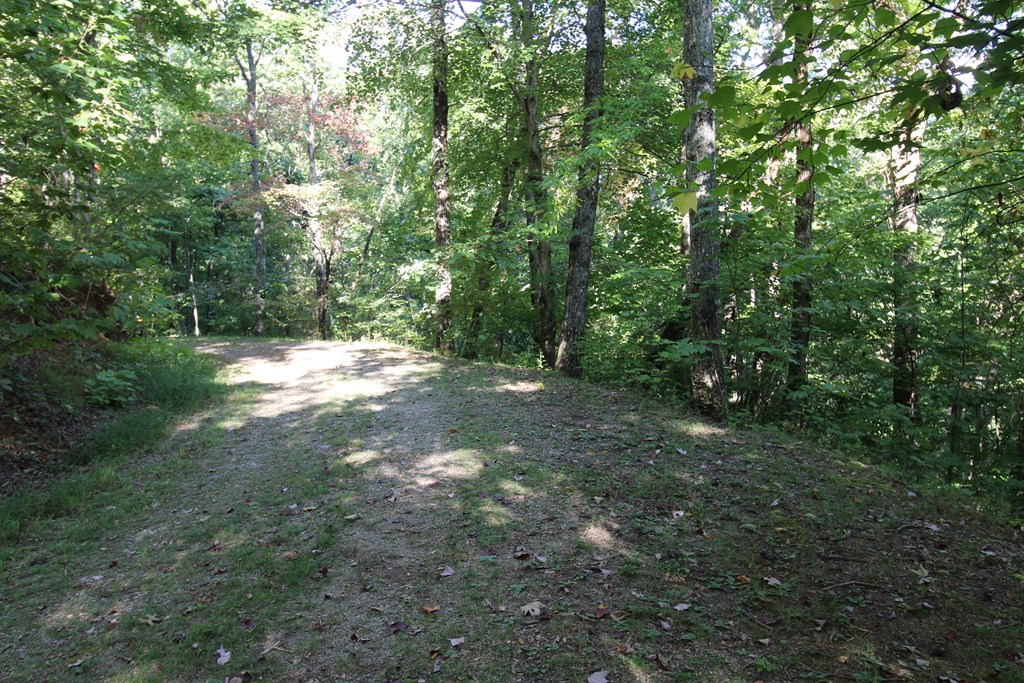 Lot 20 Ubeen Around The Circle #20, HAYESVILLE, North Carolina image 6