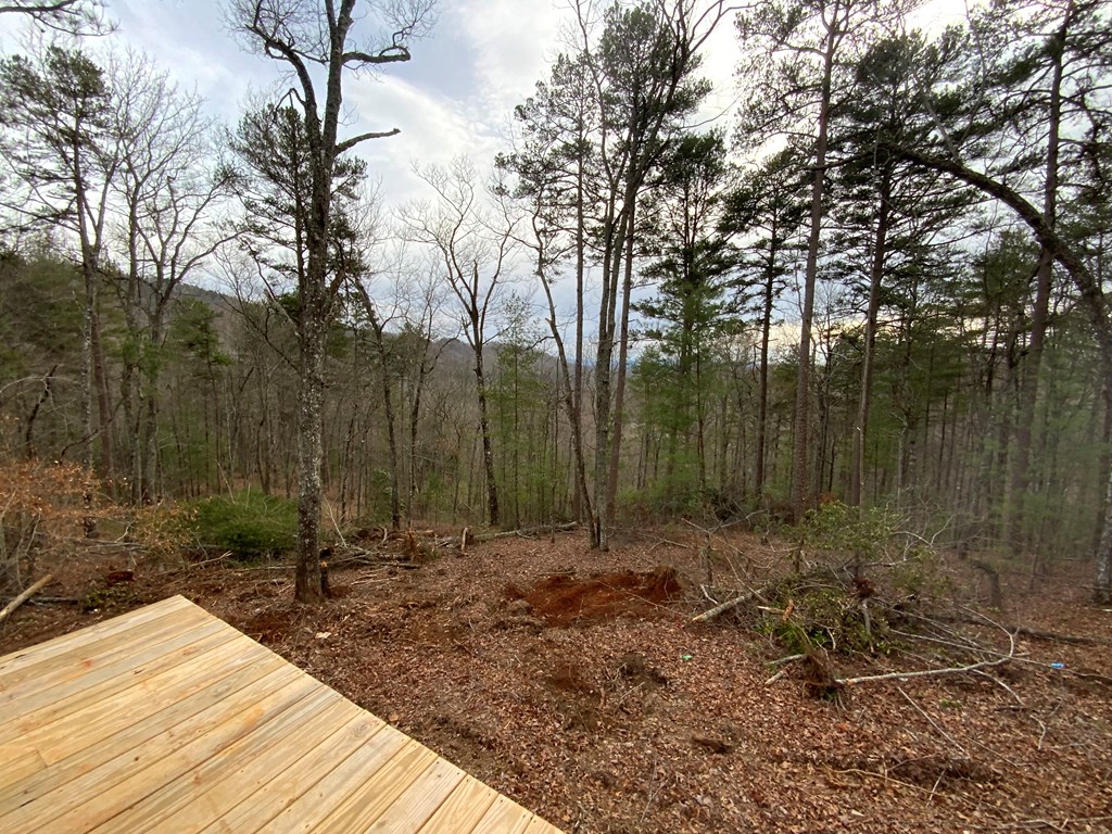 535 Ivy Log Road, MURPHY, North Carolina image 28