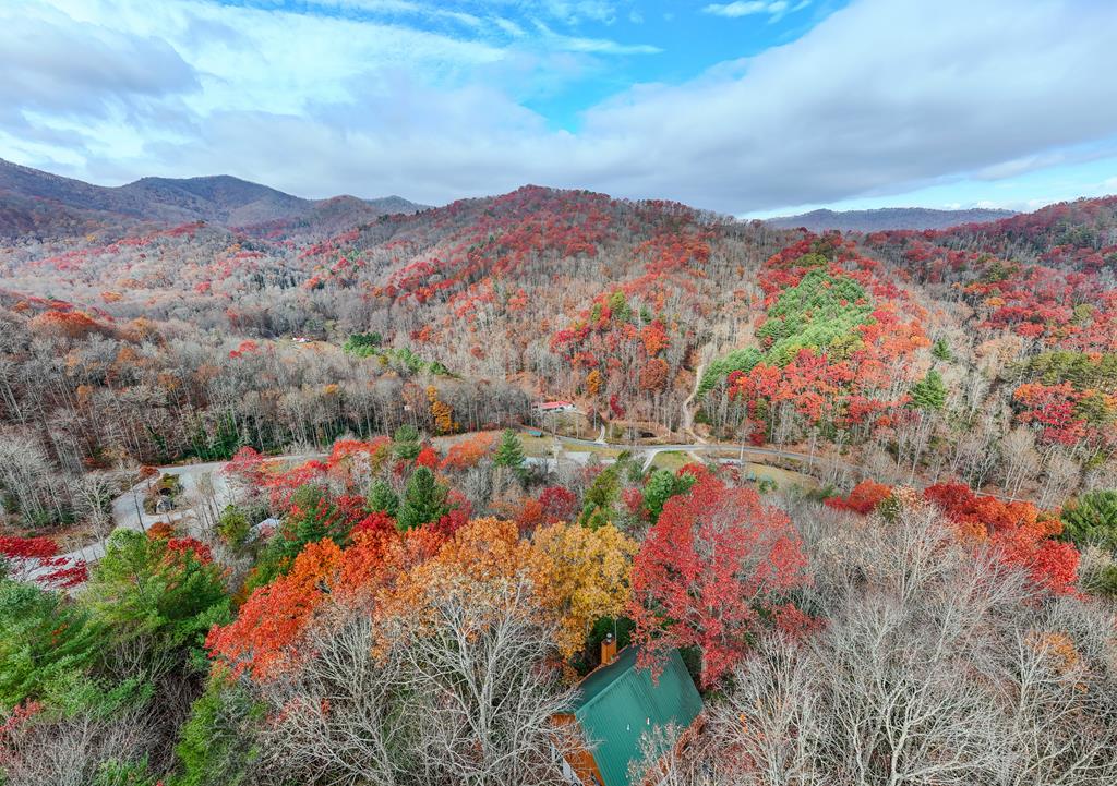 167 Tranquility Pines, ROBBINSVILLE, North Carolina image 48