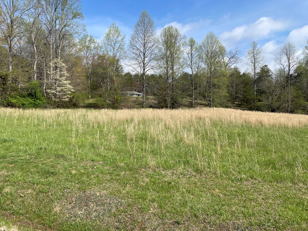 Lot 50A Licklog Ridge #50A, HAYESVILLE, North Carolina image 3