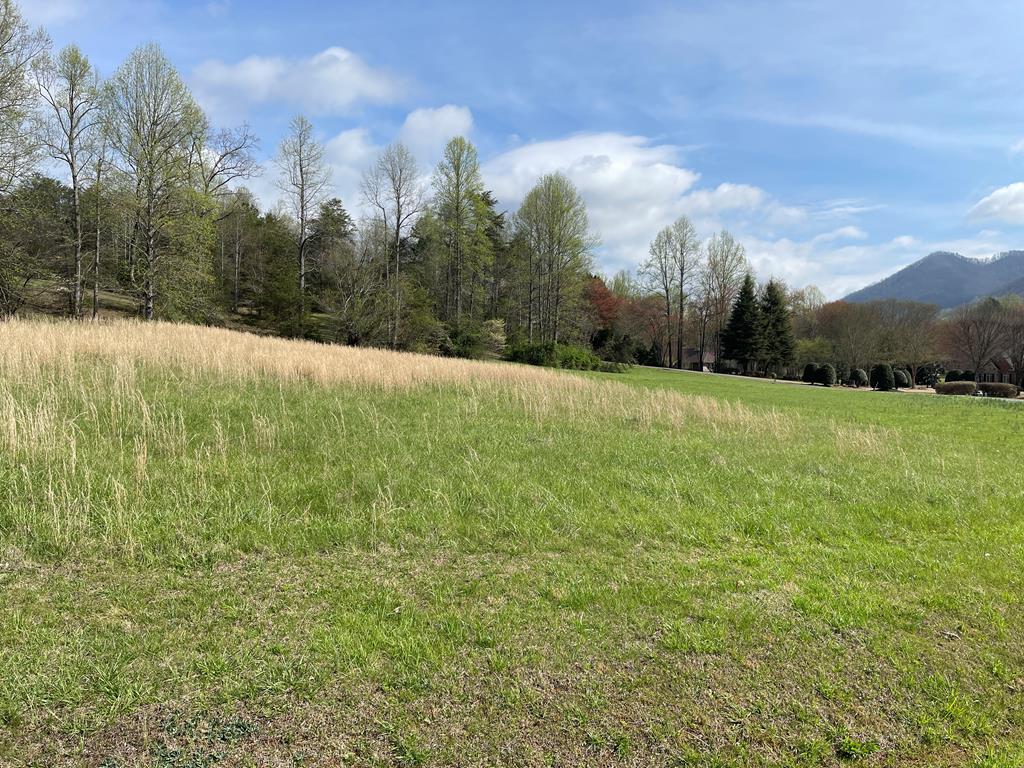 Lot 50A Licklog Ridge #50A, HAYESVILLE, North Carolina image 1