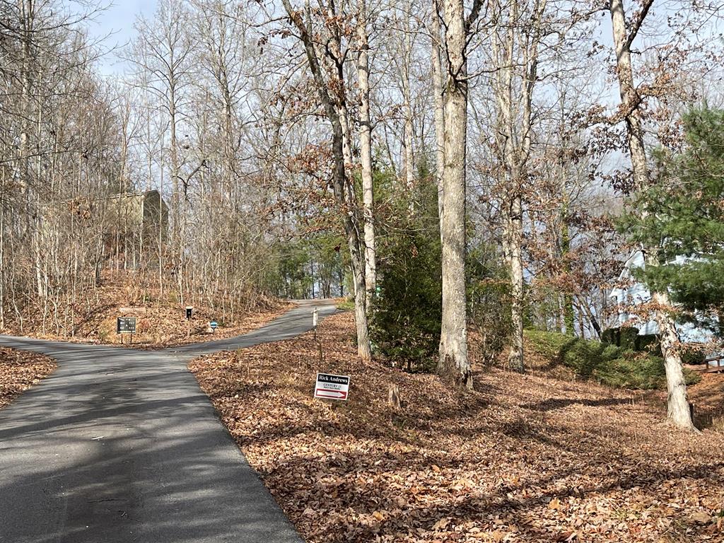 Lot 1 C Lakewood Hills #1C, HAYESVILLE, North Carolina image 36