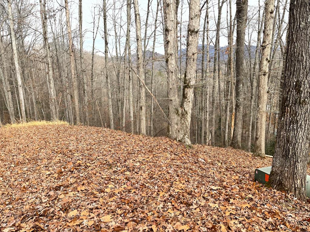 Lot 1 C Lakewood Hills #1C, HAYESVILLE, North Carolina image 34