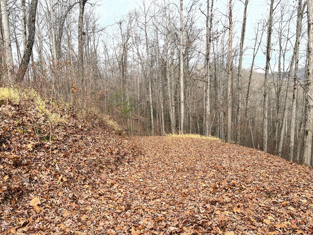 Lot 1 C Lakewood Hills #1C, HAYESVILLE, North Carolina image 35