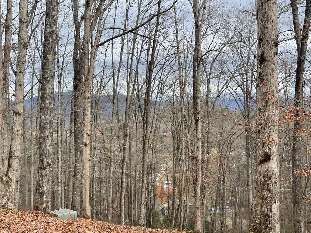 Lot 1 C Lakewood Hills #1C, HAYESVILLE, North Carolina image 22