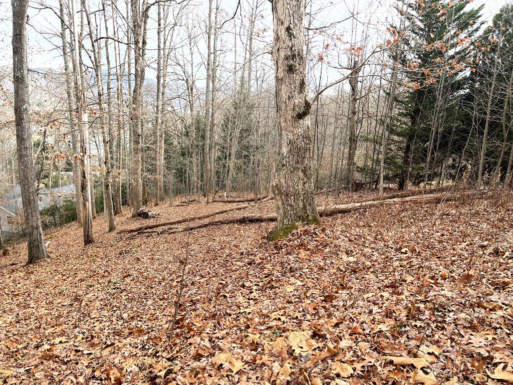 Lot 1 C Lakewood Hills #1C, HAYESVILLE, North Carolina image 32