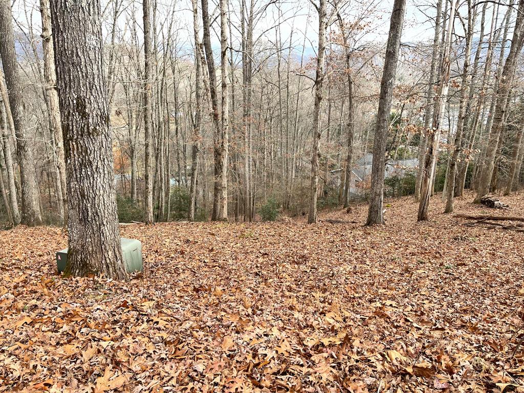 Lot 1 C Lakewood Hills #1C, HAYESVILLE, North Carolina image 33