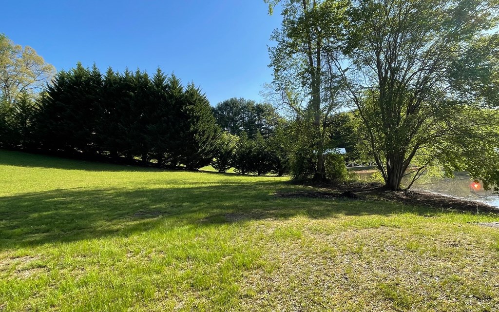 Lot 1 C Lakewood Hills #1C, HAYESVILLE, North Carolina image 18