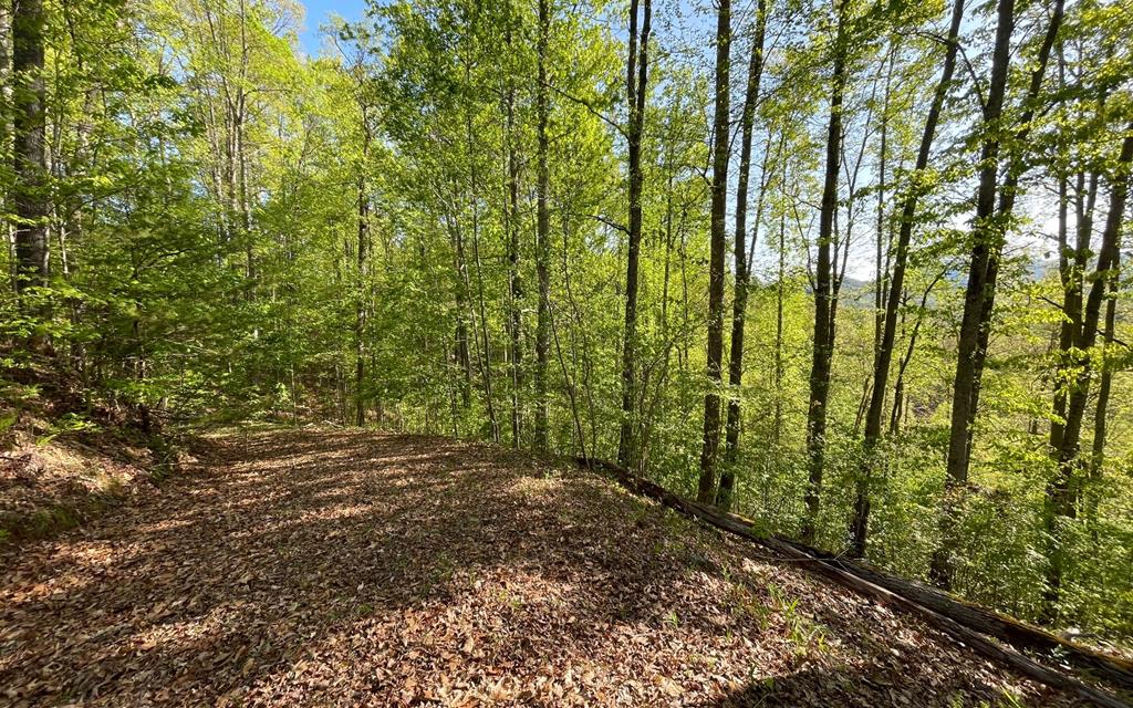 Lot 1 C Lakewood Hills #1C, HAYESVILLE, North Carolina image 1