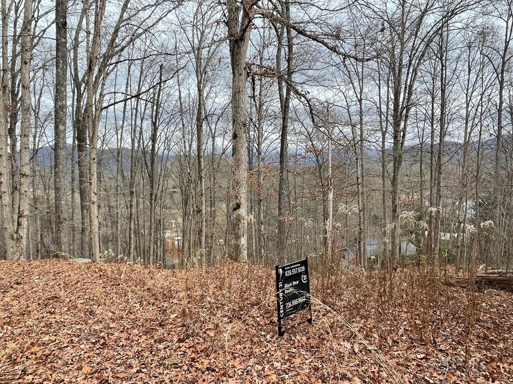 Lot 1 C Lakewood Hills #1C, HAYESVILLE, North Carolina image 20