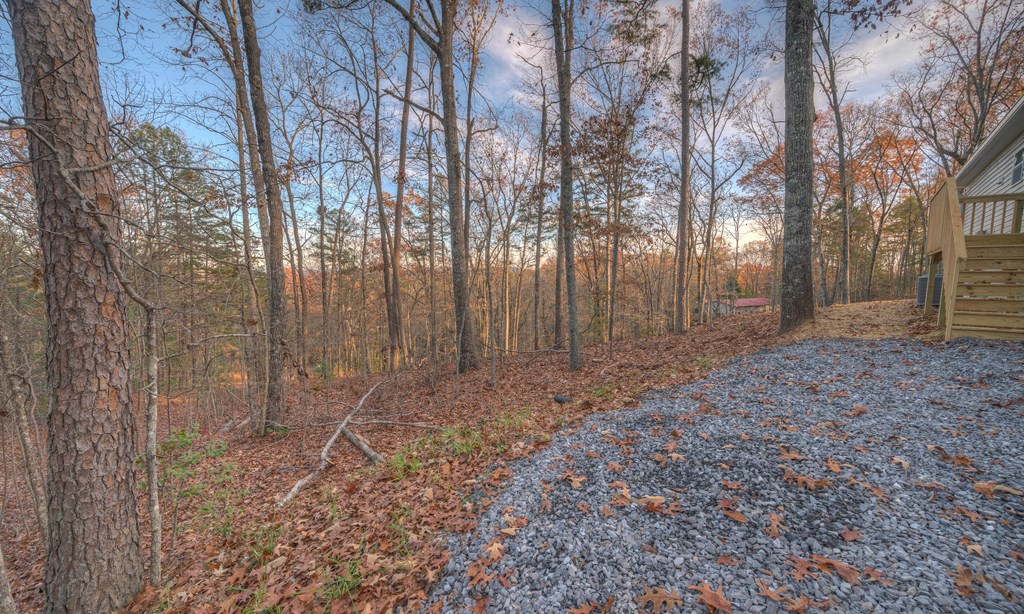 179 Fawn Ln, MURPHY, North Carolina image 9