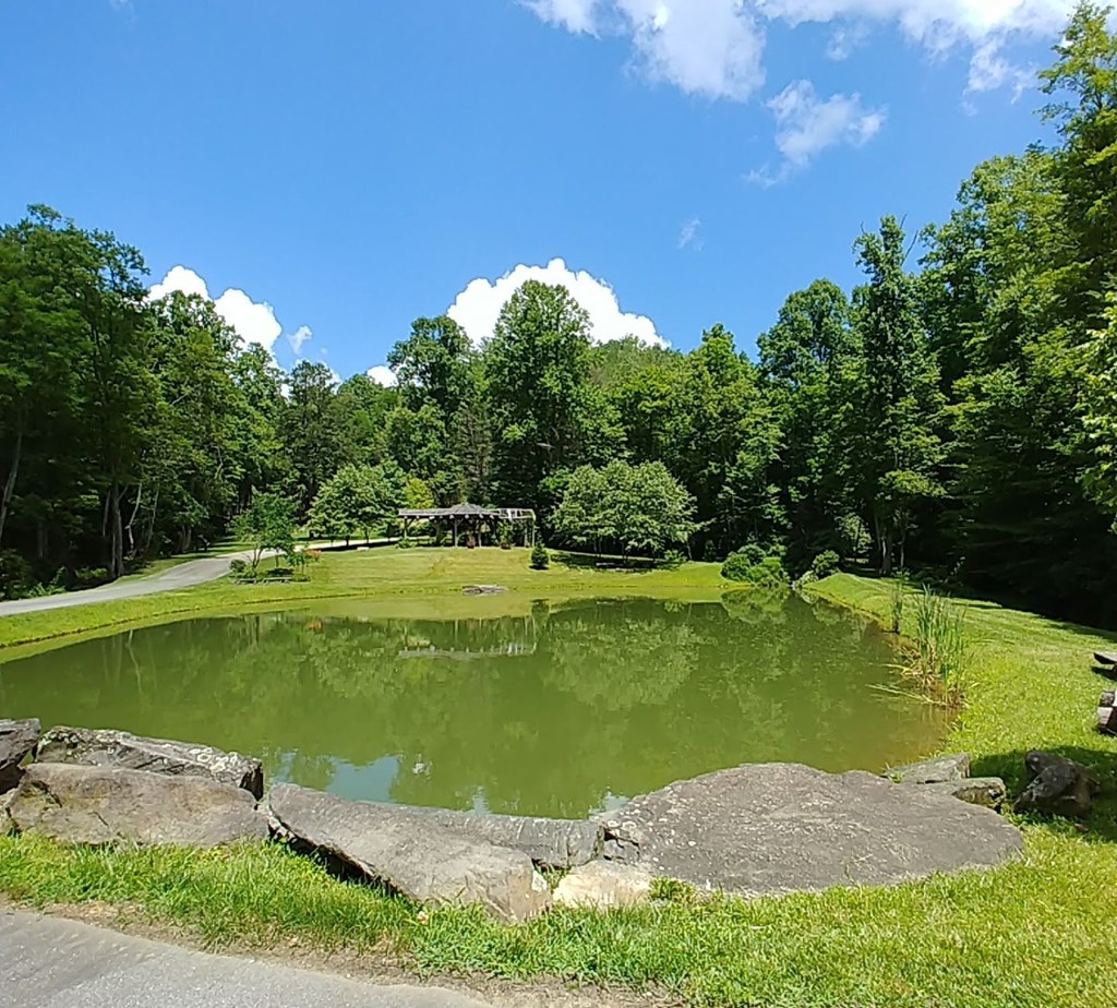 Lot 36 Mystic Forest #36, TOPTON, North Carolina image 4