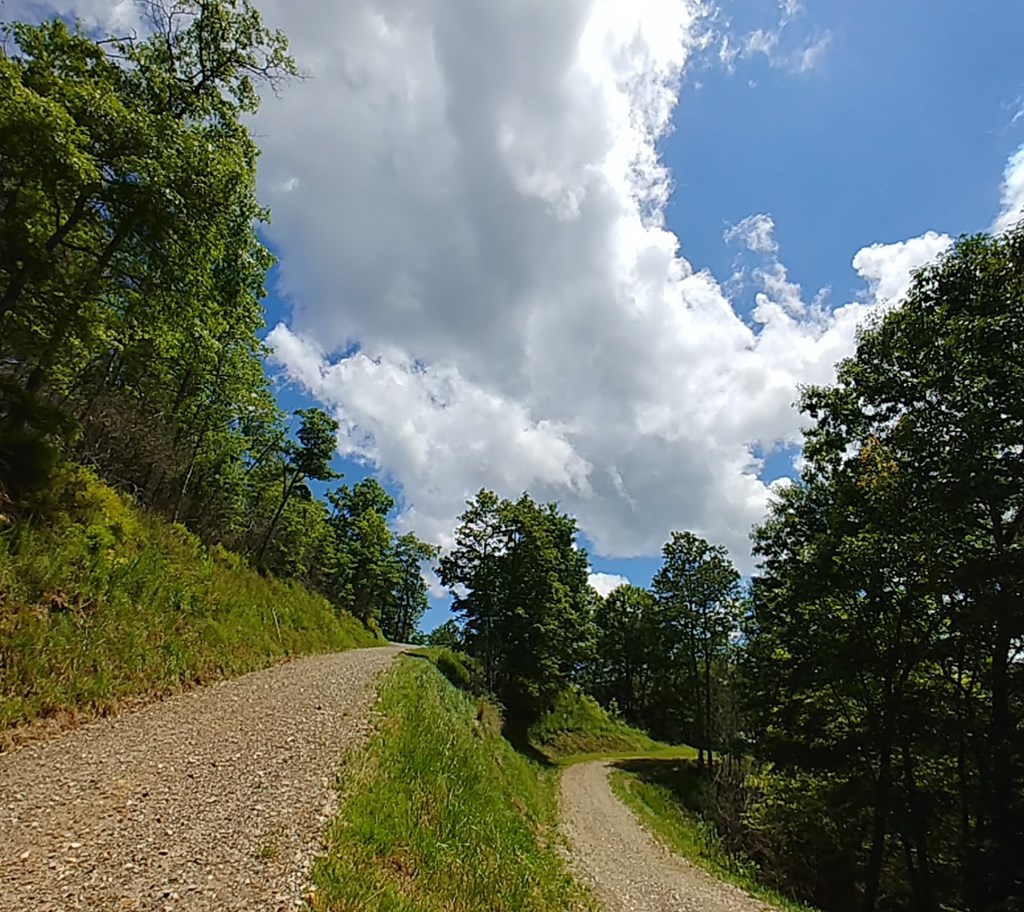 Lot 36 Mystic Forest #36, TOPTON, North Carolina image 2