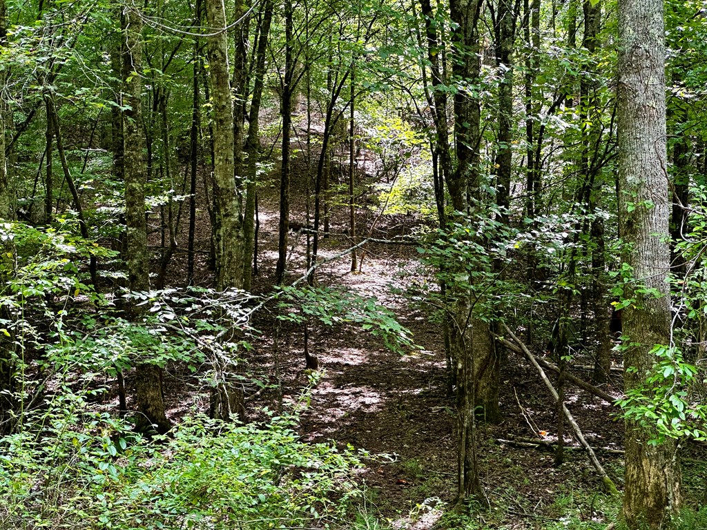 2819 Martins Creek Rd, MURPHY, North Carolina image 9