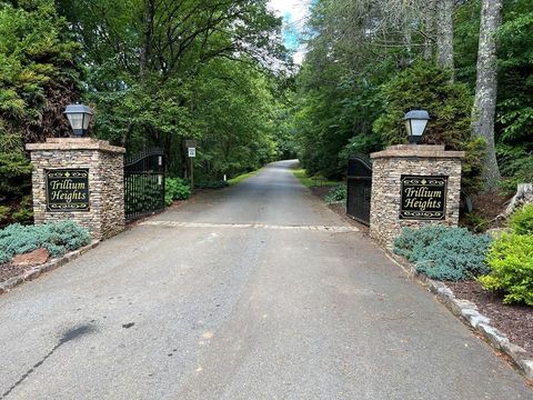 Vacant Land For Sale - LOT 10 Trillium Heights #10<br/> Clay County, BRASSTOWN, NC 28902