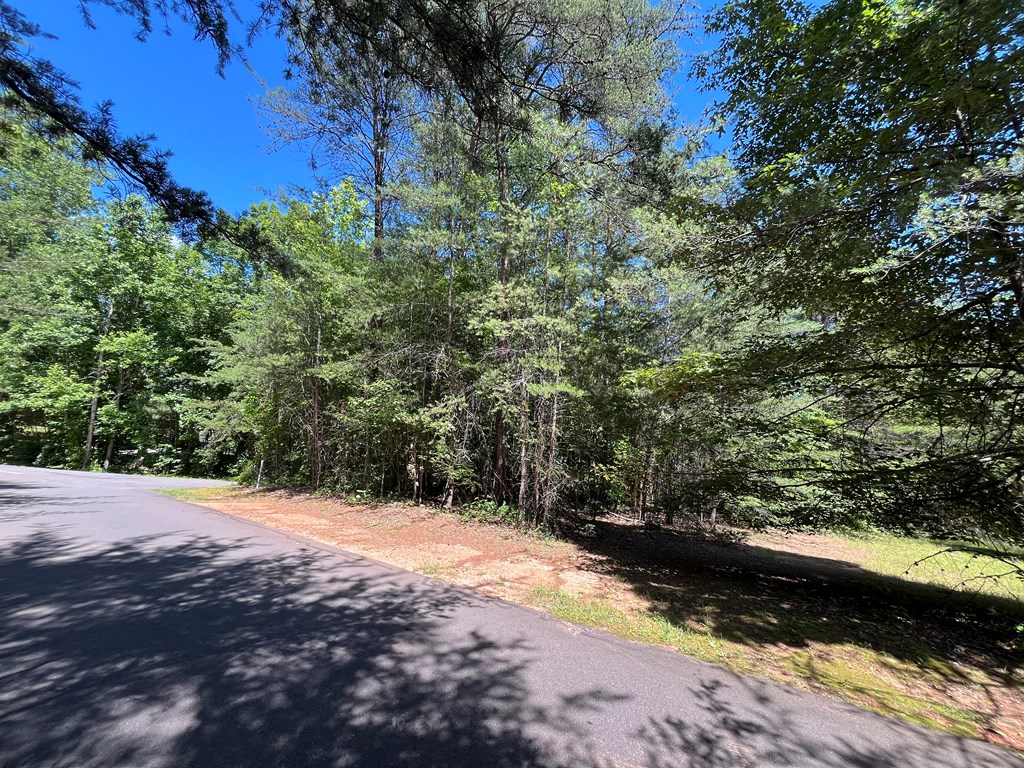 Lot 46A Mountain Harbour Lot, HAYESVILLE, North Carolina image 9