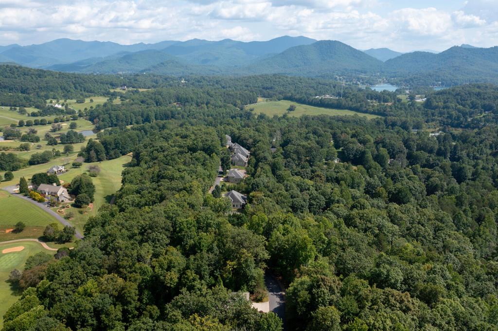 Lot 46A Mountain Harbour Lot, HAYESVILLE, North Carolina image 18