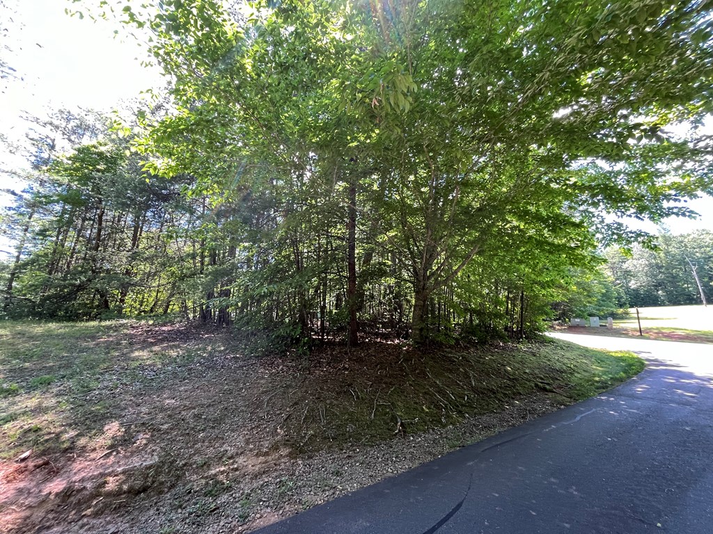 Lot 46A Mountain Harbour Lot, HAYESVILLE, North Carolina image 11