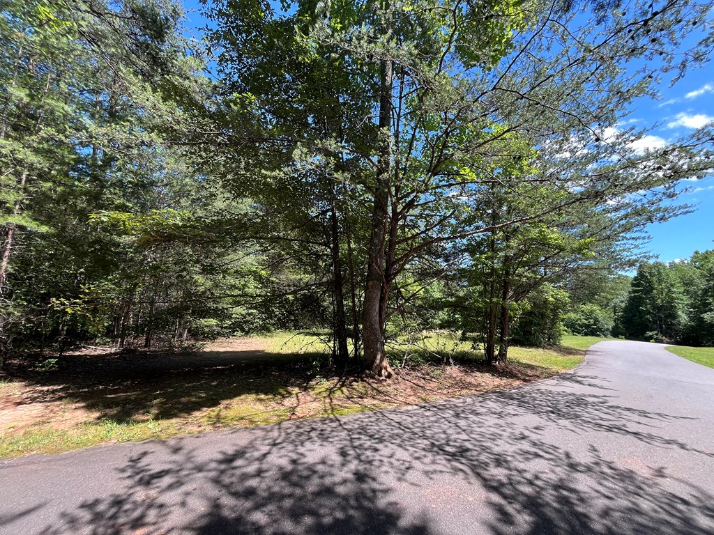 Lot 46A Mountain Harbour Lot, HAYESVILLE, North Carolina image 10