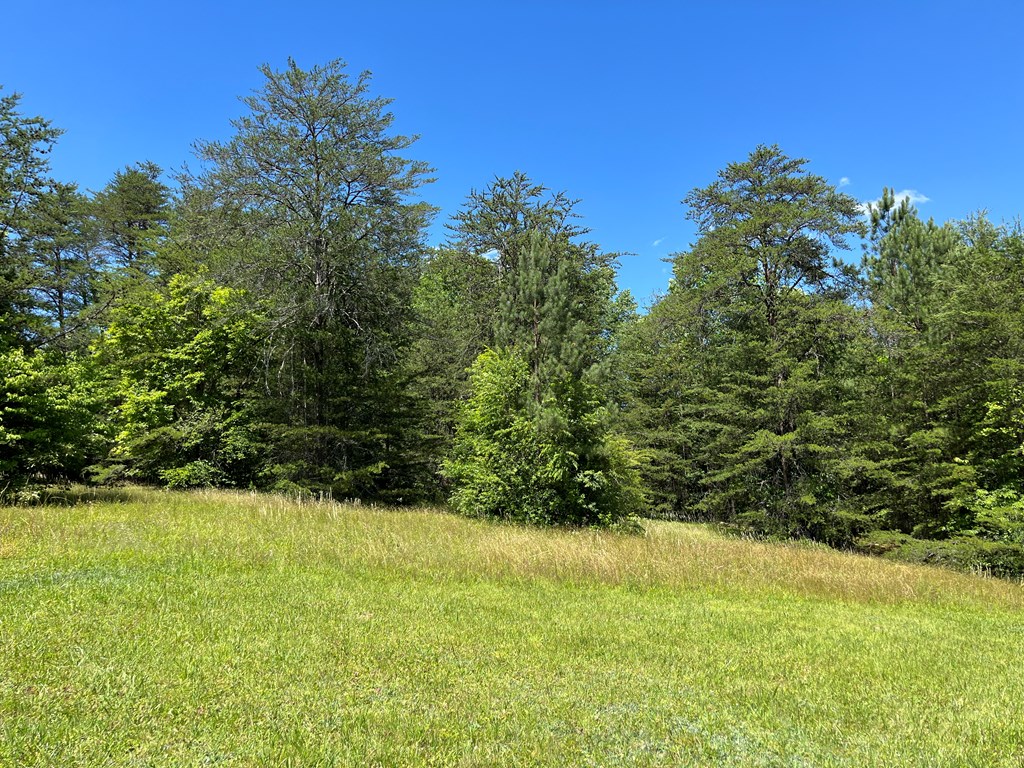 Lot 46A Mountain Harbour Lot, HAYESVILLE, North Carolina image 3