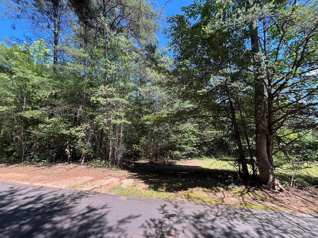 Lot 46A Mountain Harbour Lot, HAYESVILLE, North Carolina image 8