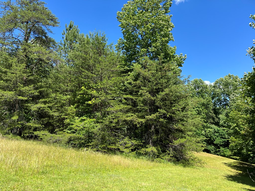 Lot 46A Mountain Harbour Lot, HAYESVILLE, North Carolina image 6