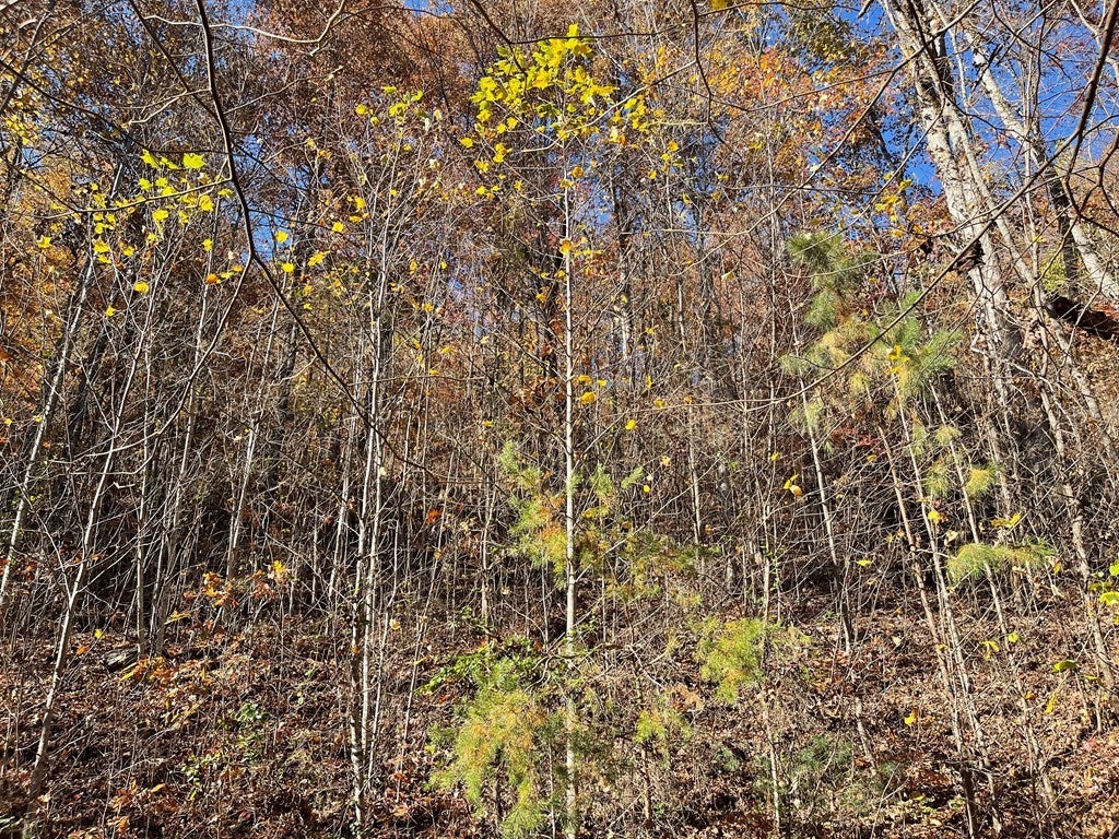 36 54C Ash Branch Circle - Photo 4