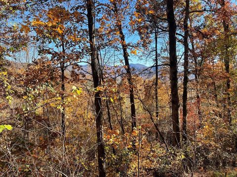 Vacant Land For Sale - 36 54C Ash Branch Circle<br/> HAYESVILLE, NC 28904