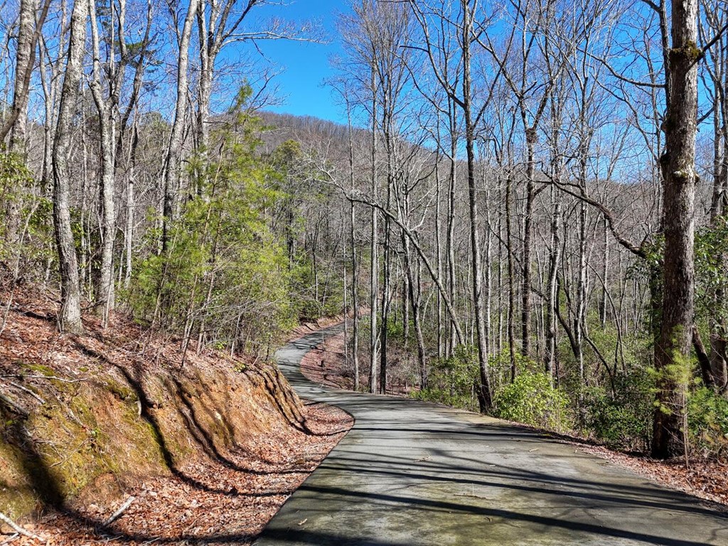 Lot 24 Mission Ridge Court #24, HAYESVILLE, North Carolina image 6