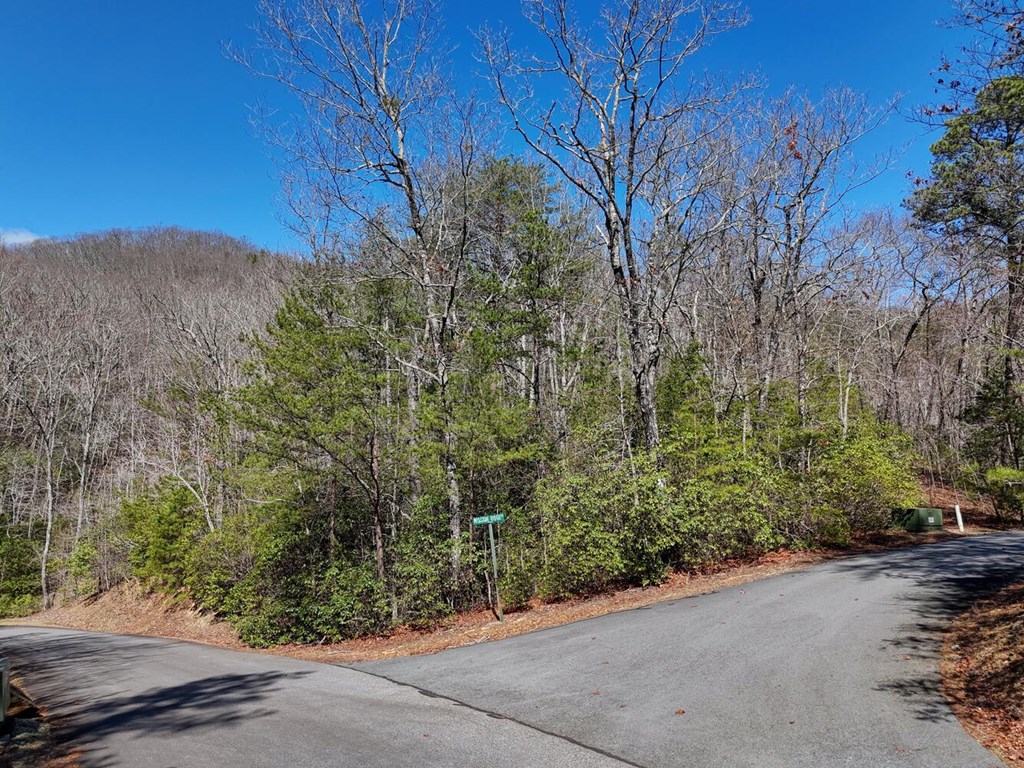 Lot 24 Mission Ridge Court #24, HAYESVILLE, North Carolina image 2