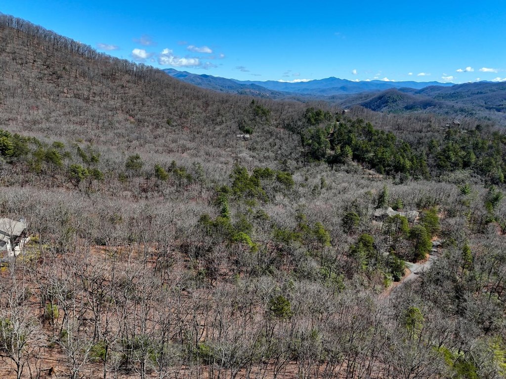 Lot 24 Mission Ridge Court #24, HAYESVILLE, North Carolina image 15
