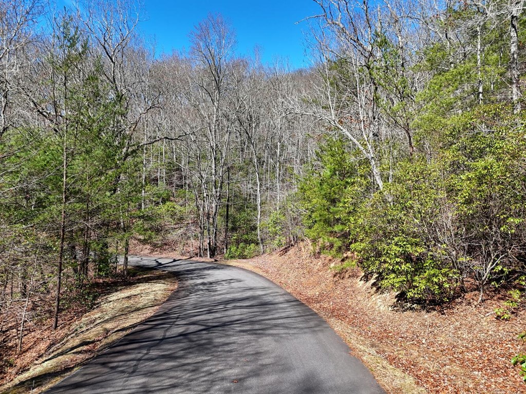 Lot 24 Mission Ridge Court #24, HAYESVILLE, North Carolina image 7