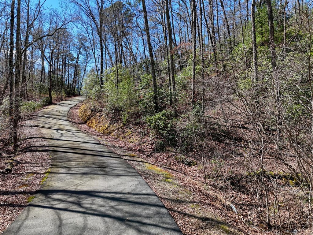 Lot 24 Mission Ridge Court #24, HAYESVILLE, North Carolina image 9