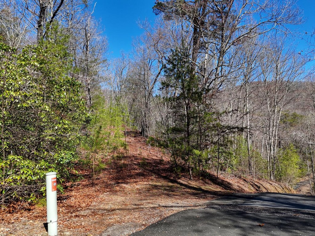 Lot 24 Mission Ridge Court #24, HAYESVILLE, North Carolina image 3