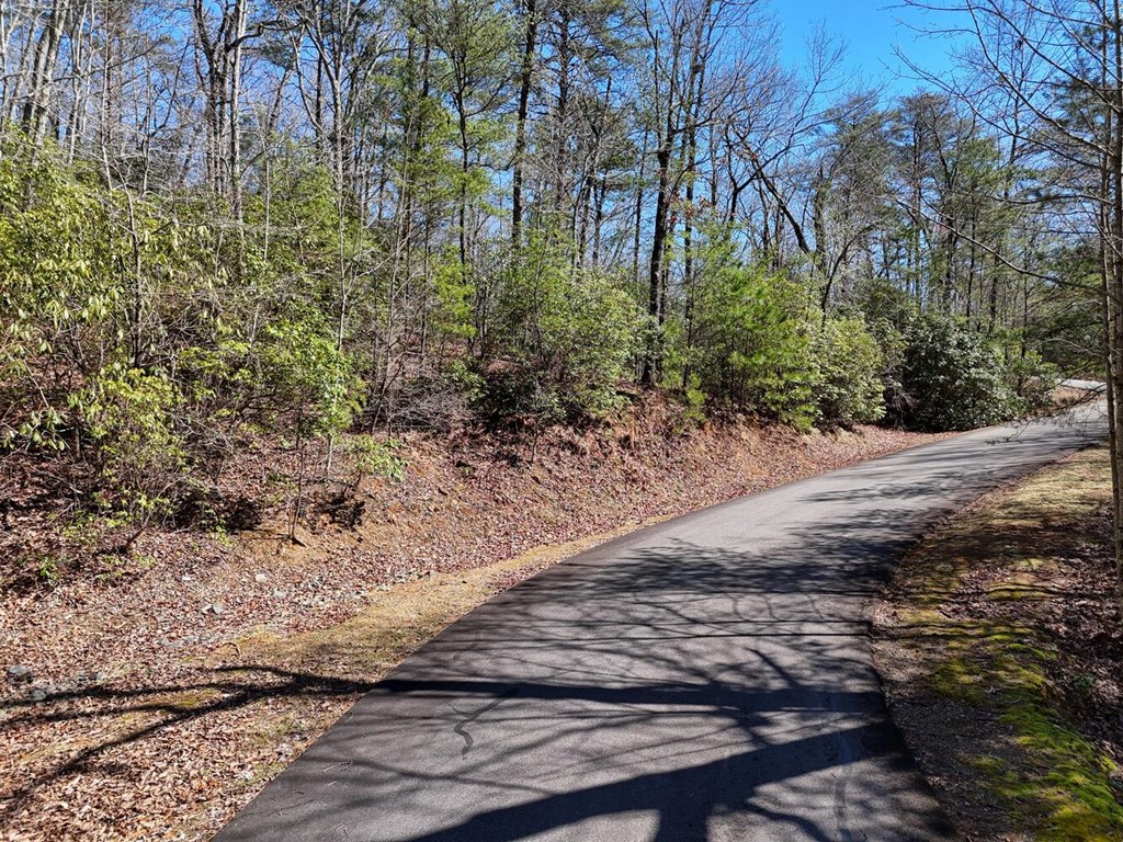 Lot 24 Mission Ridge Court #24, HAYESVILLE, North Carolina image 8