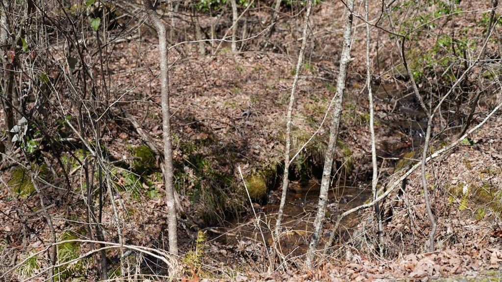 Lot 24 Mission Ridge Court #24, HAYESVILLE, North Carolina image 10