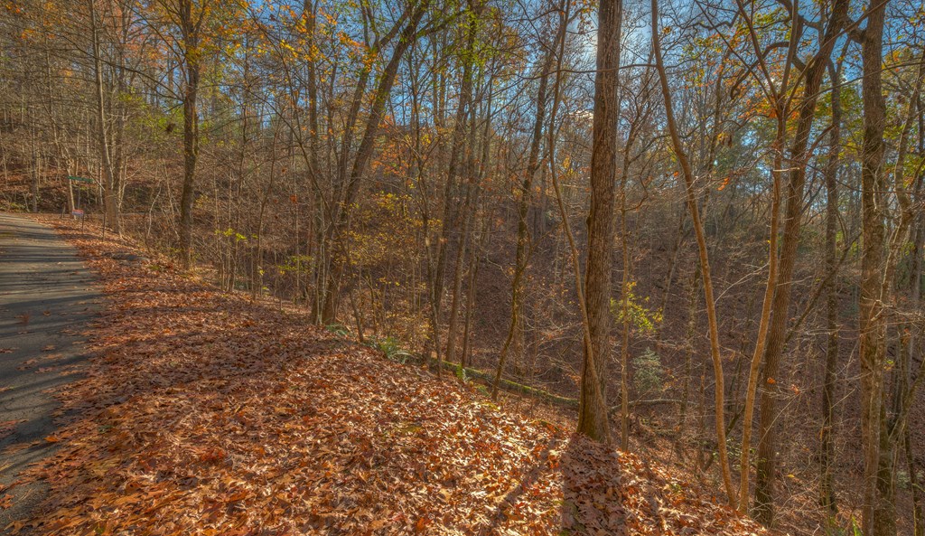 TBD Golden Eagle #17, MURPHY, North Carolina image 7