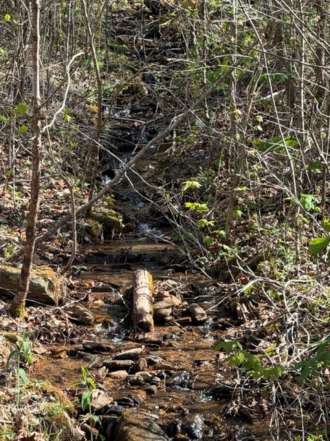 Vacant Land For Sale - LOT 16-N High Meadows Drive<br/> HAYESVILLE, NC 28904