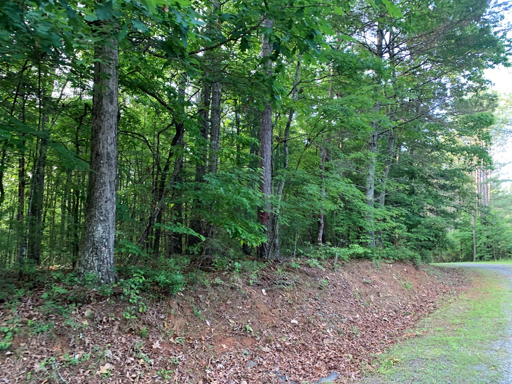 Lot 43 Kestrel Ridge Circle #43, MURPHY, North Carolina image 20