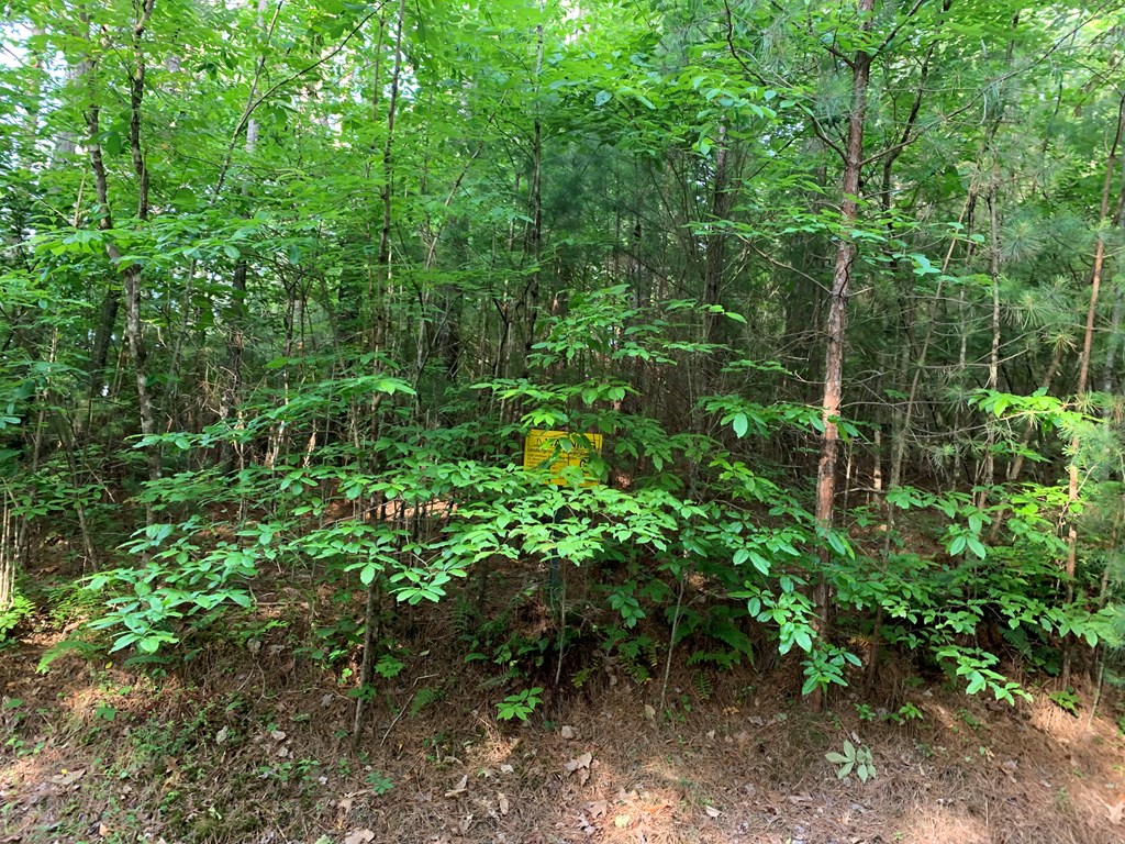 Lot 43 Kestrel Ridge Circle #43, MURPHY, North Carolina image 10