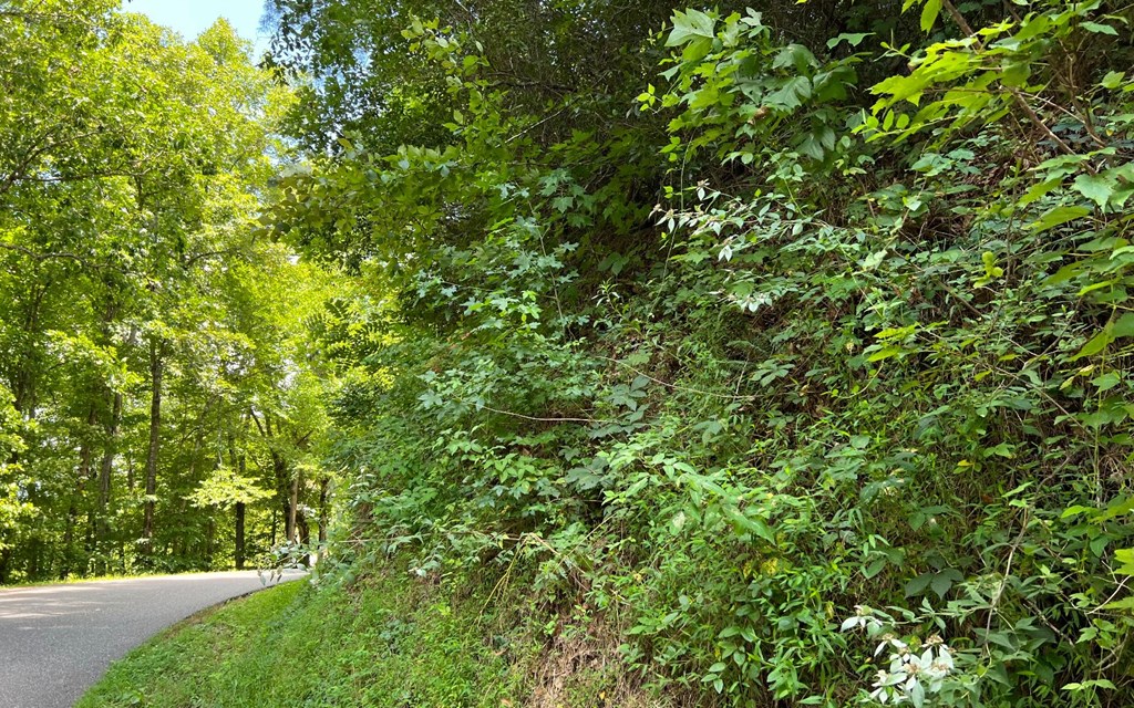 Lot 77 Fires Creek Cove #77, HAYESVILLE, North Carolina image 16