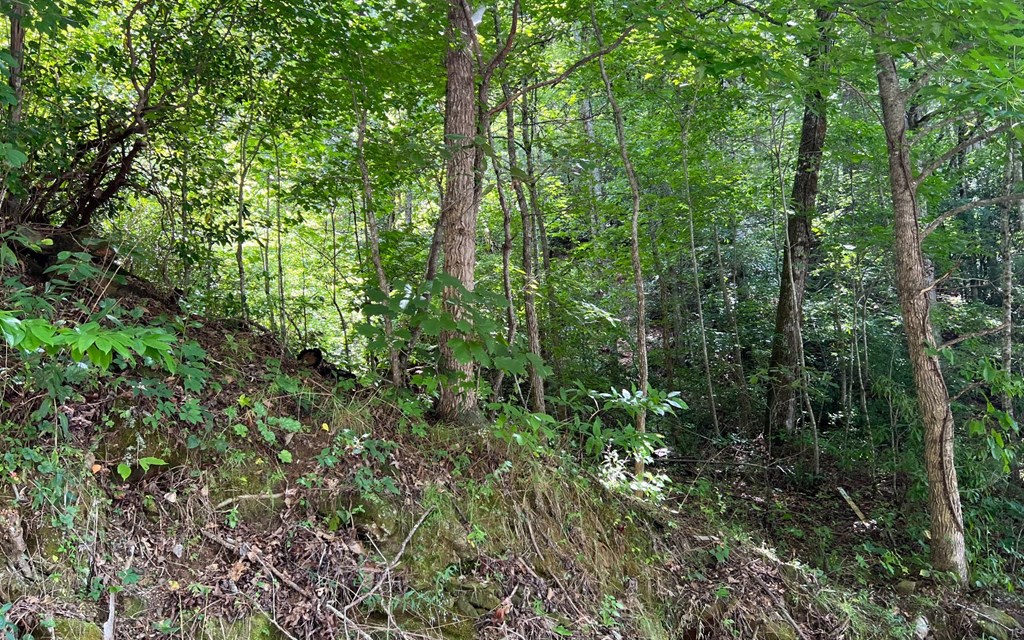 Lot 77 Fires Creek Cove #77, HAYESVILLE, North Carolina image 3