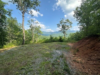 Lot 7 Eagle Fork Summit #7, HAYESVILLE, New York image 10