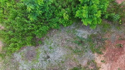 Lot 7 Eagle Fork Summit #7, HAYESVILLE, New York image 5