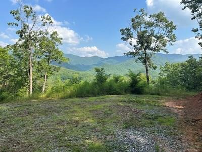 Lot 7 Eagle Fork Summit #7, HAYESVILLE, New York image 1