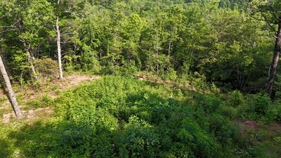 Lot 7 Eagle Fork Summit #7, HAYESVILLE, New York image 11