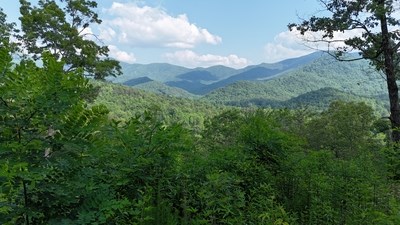 Lot 7 Eagle Fork Summit #7, HAYESVILLE, New York image 7